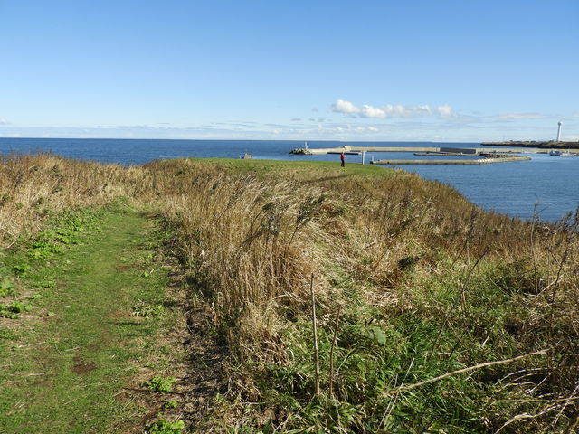 �`���V���[��]��_�����l���g�`���V��