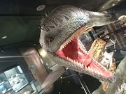 rNg邳̂ނ풬ʔق̓eʐ^2