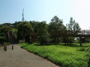 Ђł񂳂̉΂̎R̓eʐ^1