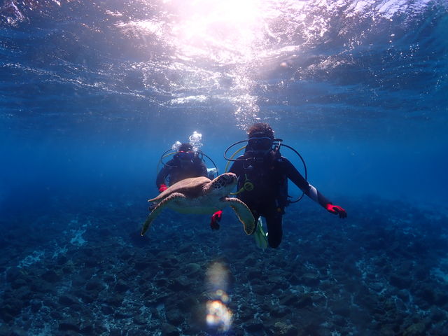 �E�~�K���Ƃ̋������������߂������ł��I_���v���_�C�r���O�K�C�h���S�n