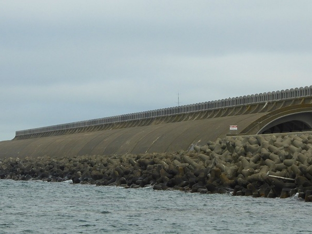 �k�C���E�t���`�k�h�g��h�[���������_�t���`�k�h�g��h�[��