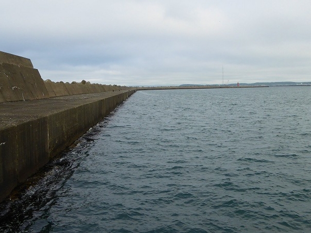 �k�C���E�t���`�k�h�g��h�[����̖h�g��_�t���`�k�h�g��h�[��