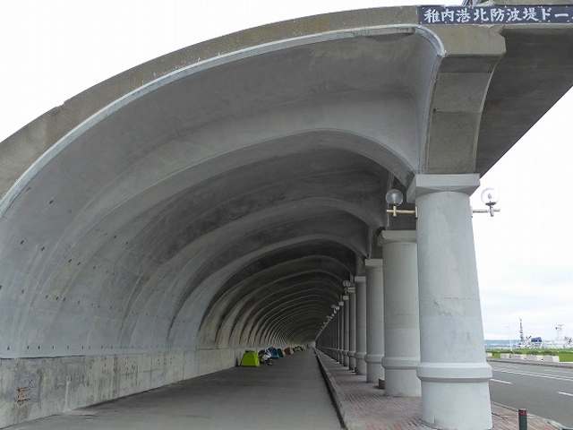 �k�C���E�t���`�k�h�g��h�[��_�t���`�k�h�g��h�[��