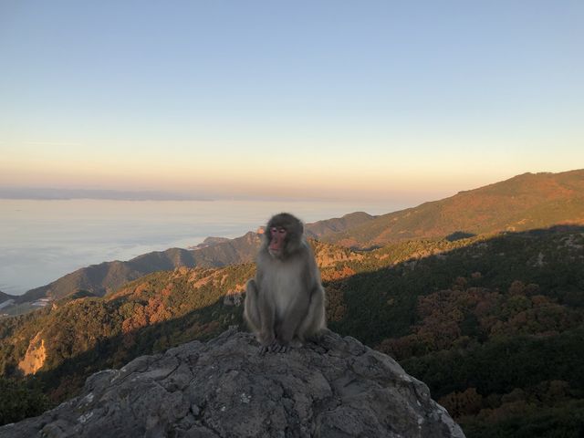 �ʐ^���B�낤�Ǝv������A��������̓��f���ɂȂ��Ă���܂����B_���������q�k���R�������@�����̍�