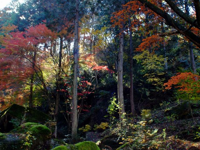 2019.11.23 12:30_鬼岩温泉