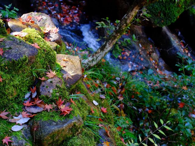 2019.11.23 12:30_鬼岩温泉