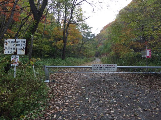 ̗L̑ꎩRT̐X̓eʐ^10