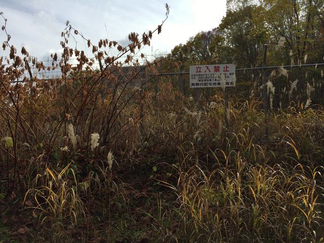 L̏iނƎq̃Q[gɂԂ܂_L̑ꎩRT̐X