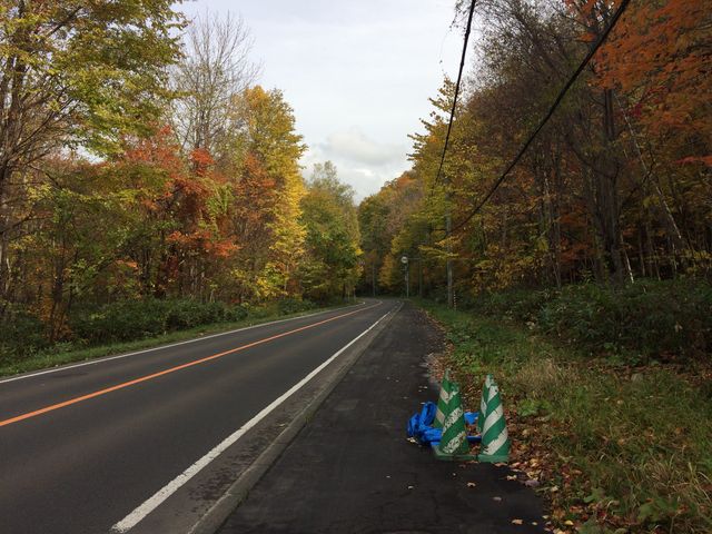 L̑L̏܂ł̎ԓB̍gtł_L̑ꎩRT̐X