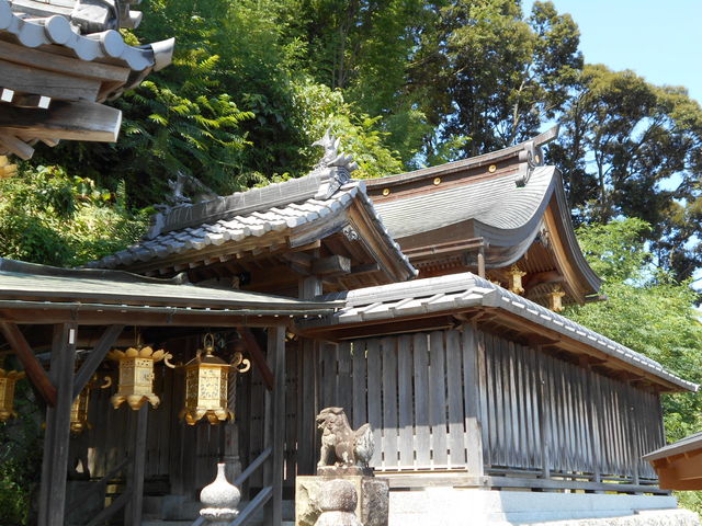 �}�ȐΒi�̏�ɂ��鉫�Ó��_��_����