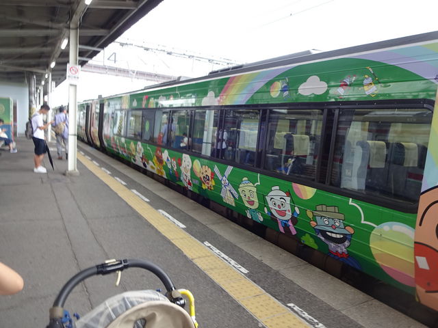 �A���p���}����ԁi�앗�E�O���[���o�[�W�����j_�i�q���R�w