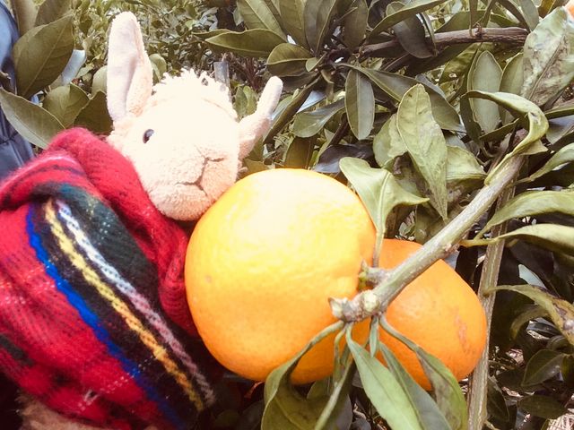 �݂���D���ȃp�J�����B_�O�x��