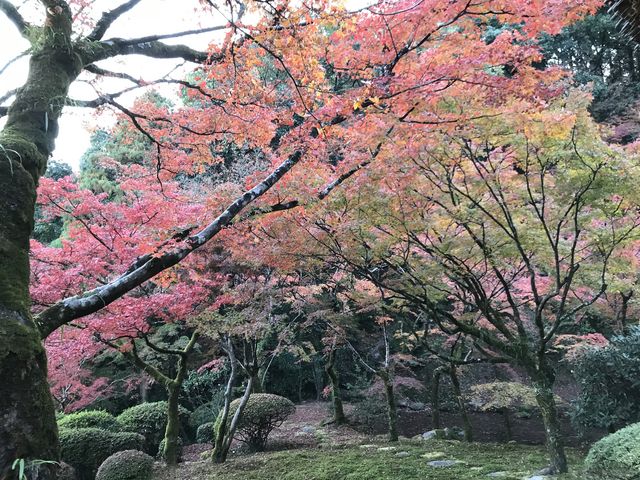 ��N��_��N���H�̈�ʌ��J