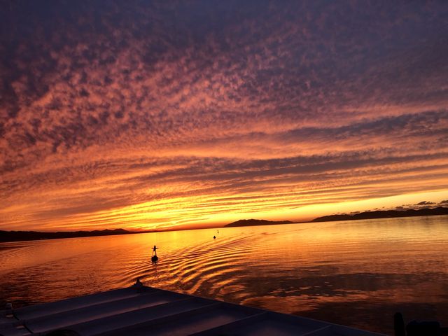 �܂����󂪐Ԃ����܂��Ă�_�����Ίό��V���D