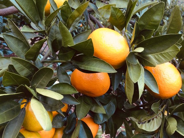 ���������~�J��_�O�x��