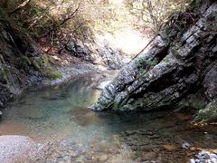 17d67_0005124829_1.jpg