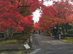 �N���h���񂳂�̒q�ω@�ւ̓��e�ʐ^1