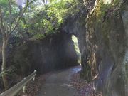 ڂ炳̉Jl̑ƂїVR[X̓eʐ^1