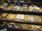 Ђ낳̍a wsswX̓eʐ^1