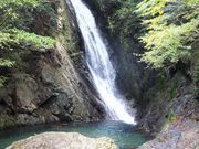 ���ڂ炳��̉��J���l�̑�̓��e�ʐ^1