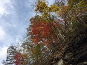 ̗L̑ꎩRT̐X̓eʐ^17