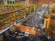 ̂䂫̔_RnrW^[Z^[̓eʐ^2