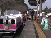 WW̍䂠܂Ă炷Si w\j̓eʐ^6