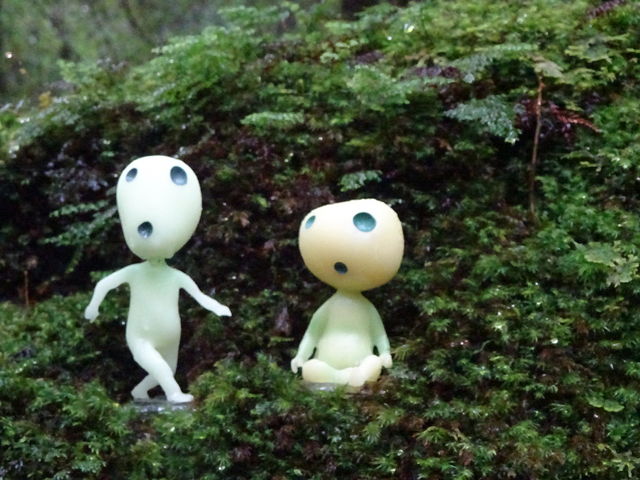 KCh񎝎Q̂܃tBMA_vgbLOKCh