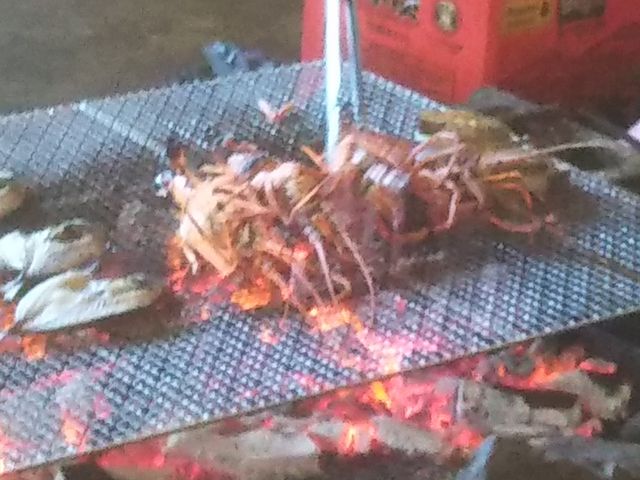 6000~R[Xȏł͈ɐCVL_͂܂񂩂܂