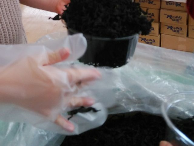 ���J���l�ߕ���_�ɐ��u���݂₰�Z���^�[�����@�ɐ��X