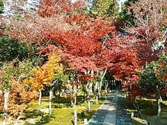 ��������̎����@�ւ̓��e�ʐ^1