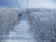 񂳂̐XgR@mXL[̓eʐ^1