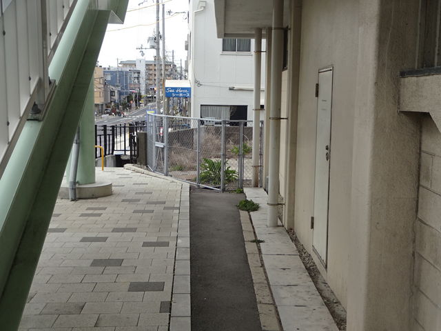 Ђ낳̃V[z[X _ˉX̓eʐ^5