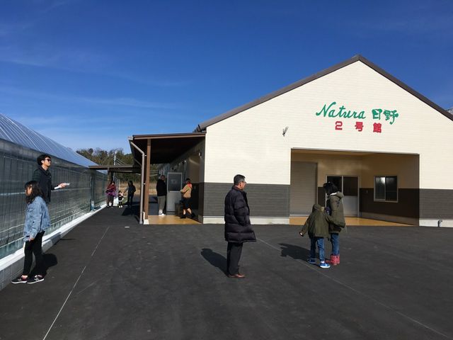 �n�E�X�����_�i�`��������