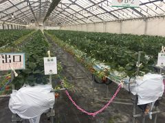 肨̐_ˎOcȂ_ւ̓eʐ^1