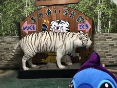 しら とり 動物園