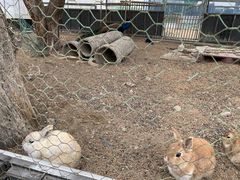 낤̂܂ӂ[ށuvւ̓eʐ^2