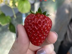 񂶂̃OّOcւ̓eʐ^1