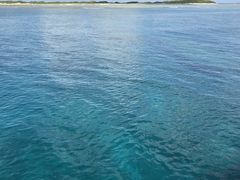 ߂B̌cǊ(P})C攼cA[X@OPGւ̓eʐ^1