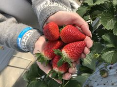 ݂ꂳ̋䂢 nEXւ̓eʐ^1