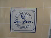 Ђ낳̃V[z[X _ˉX̓eʐ^3