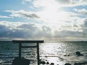 whitesnakêԂĉY̓eʐ^1