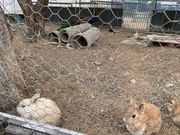 낤̂܂ӂ[ށuv̓eʐ^2