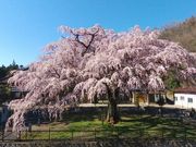 stonemeister̉i򎛂̎}̓eʐ^1