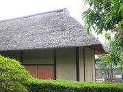 ̂䂫̌SRsJق̓eʐ^2