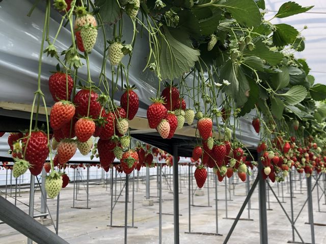 �^���ԂȂ����������[���ς������Ă܂����B_���������@����ׂ�