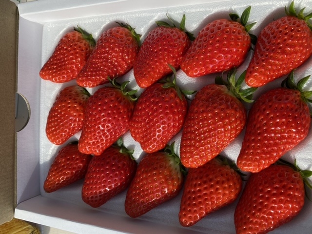 ���y�Y�ɑ嗱���������w�����܂���^_^_�����t�B�[���Y