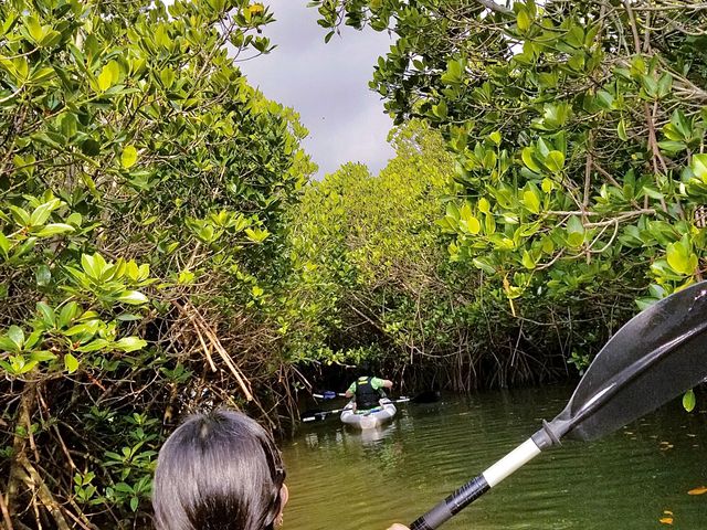 ガイドさんに撮って頂きました!_OHCUS石垣島