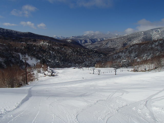 �Q�W���V��̃x�X�g�R���f�B�V����_��������X�L�[��