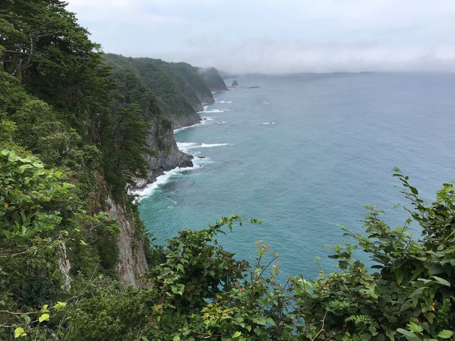 �L�̑��f�R�W�]��